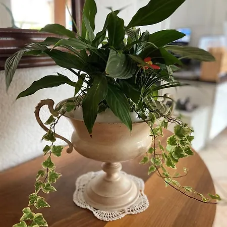 酒店 住宿加早餐酒店 2*