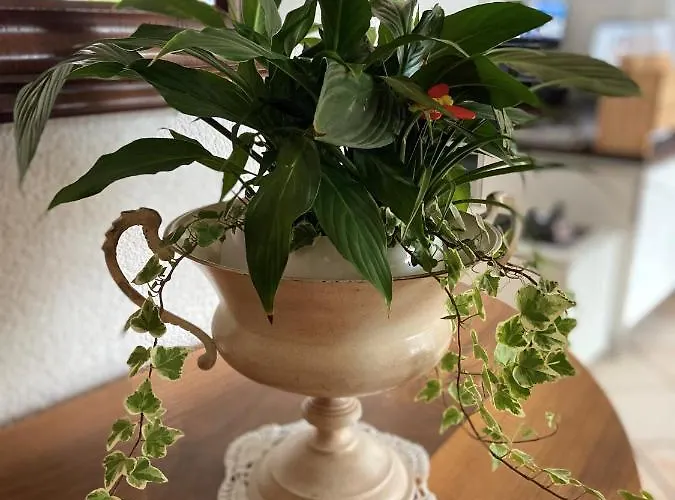 Hotel Bett & Fruehstueck 2*